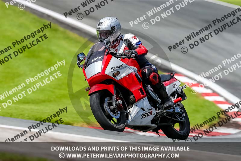 PJ Motorsport 2019;anglesey;brands hatch;cadwell park;croft;donington park;enduro digital images;event digital images;eventdigitalimages;mallory;no limits;oulton park;peter wileman photography;racing digital images;silverstone;snetterton;trackday digital images;trackday photos;vmcc banbury run;welsh 2 day enduro